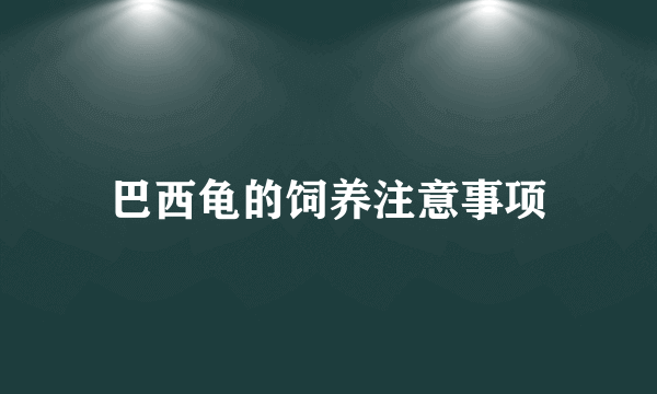 巴西龟的饲养注意事项