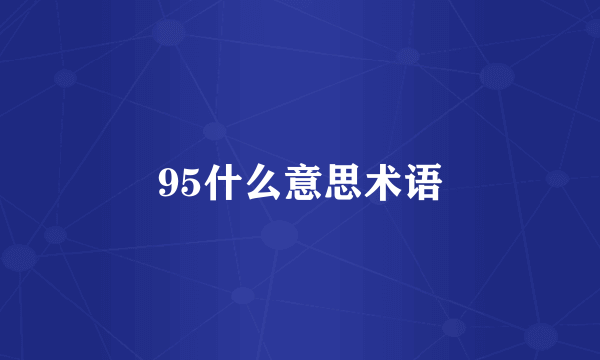 95什么意思术语