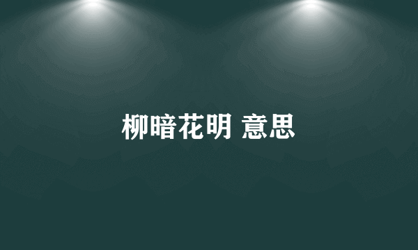 柳暗花明 意思