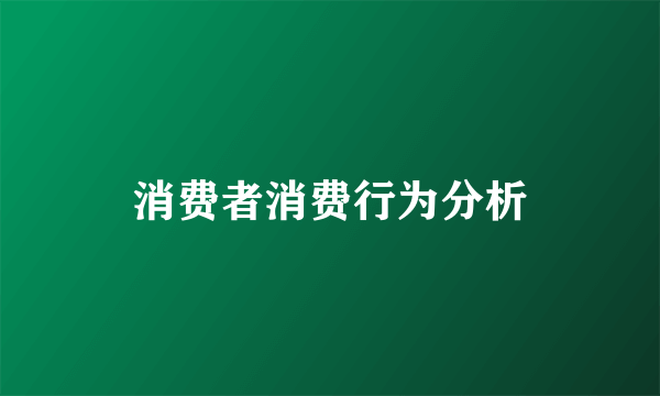 消费者消费行为分析