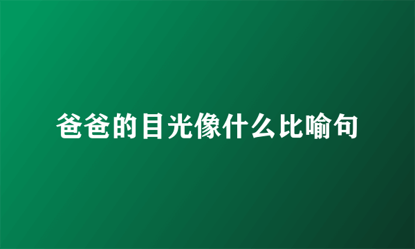 爸爸的目光像什么比喻句