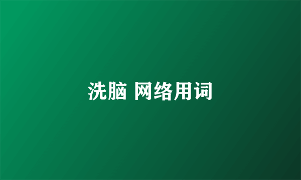 洗脑 网络用词