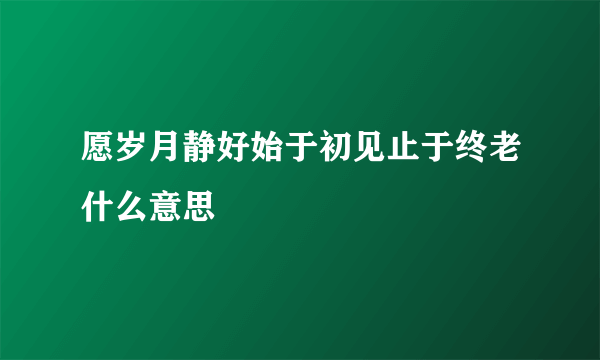 愿岁月静好始于初见止于终老什么意思