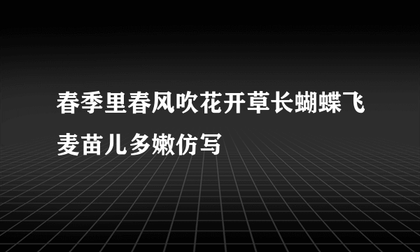 春季里春风吹花开草长蝴蝶飞麦苗儿多嫩仿写