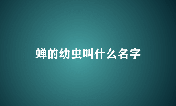 蝉的幼虫叫什么名字