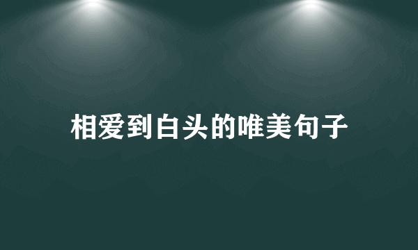 相爱到白头的唯美句子