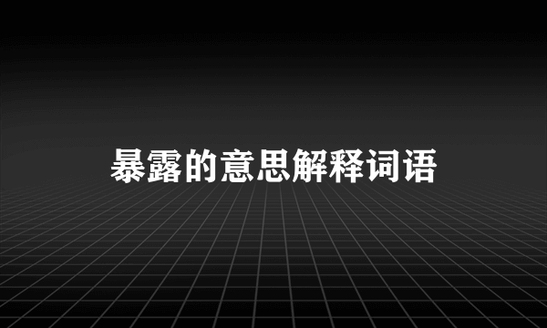 暴露的意思解释词语