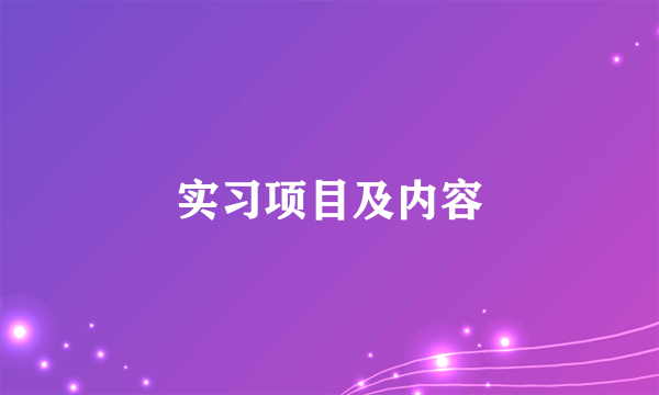 实习项目及内容