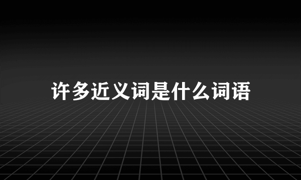 许多近义词是什么词语
