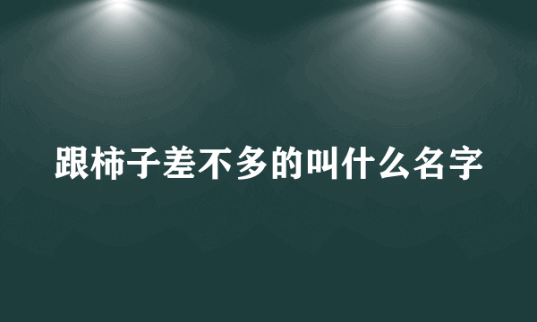 跟柿子差不多的叫什么名字