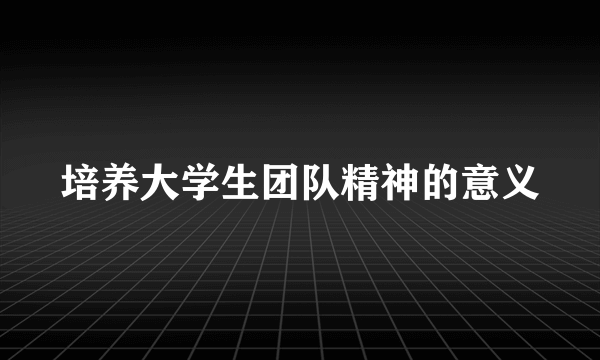 培养大学生团队精神的意义
