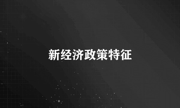 新经济政策特征