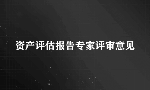 资产评估报告专家评审意见