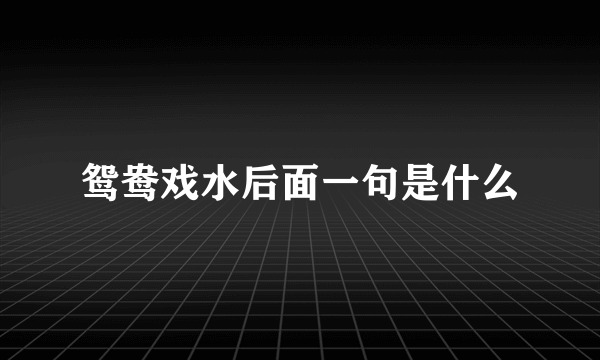 鸳鸯戏水后面一句是什么
