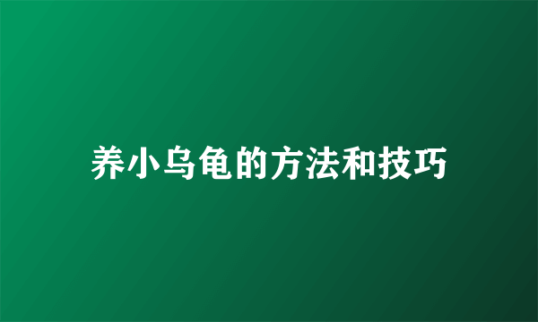养小乌龟的方法和技巧