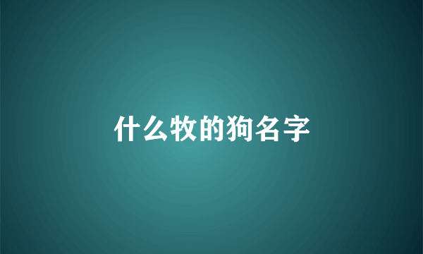 什么牧的狗名字