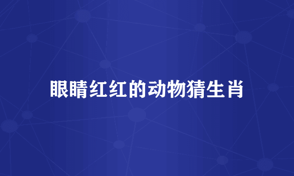 眼睛红红的动物猜生肖