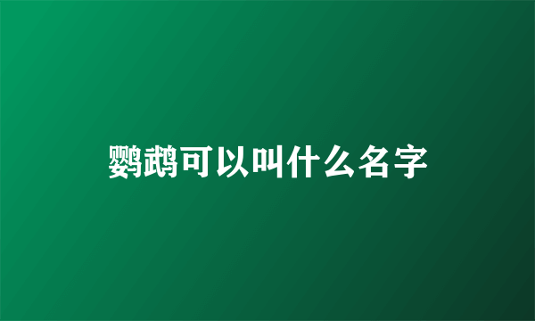 鹦鹉可以叫什么名字