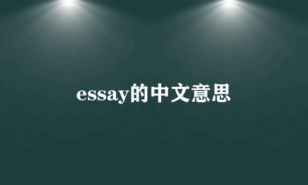 essay的中文意思