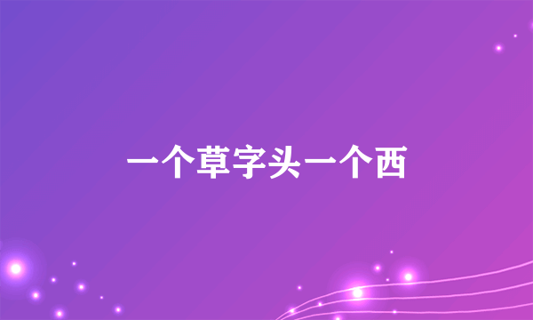 一个草字头一个西