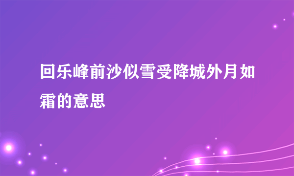 回乐峰前沙似雪受降城外月如霜的意思