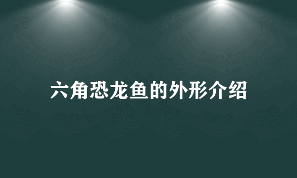 六角恐龙鱼的外形介绍