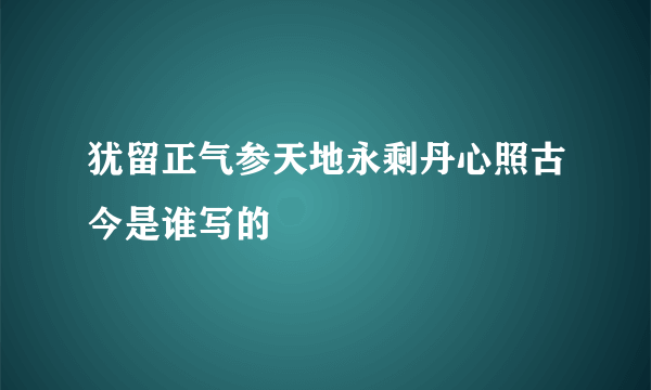 犹留正气参天地永剩丹心照古今是谁写的