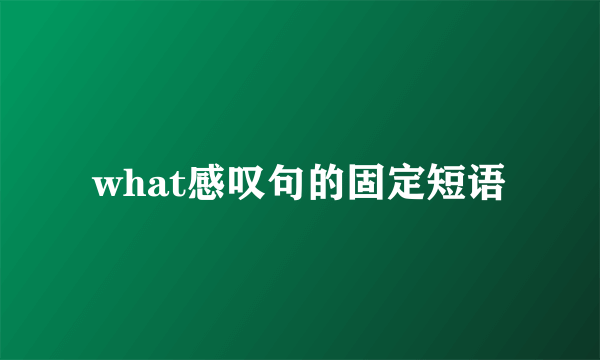 what感叹句的固定短语