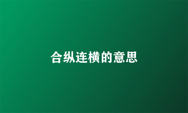 合纵连横的意思