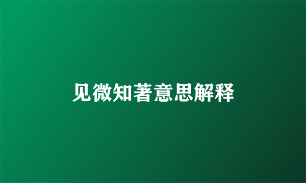 见微知著意思解释