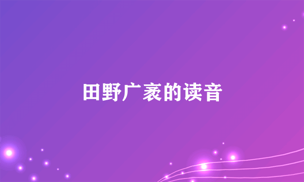 田野广袤的读音