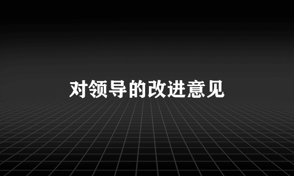 对领导的改进意见