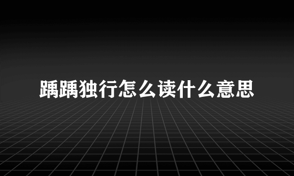 踽踽独行怎么读什么意思