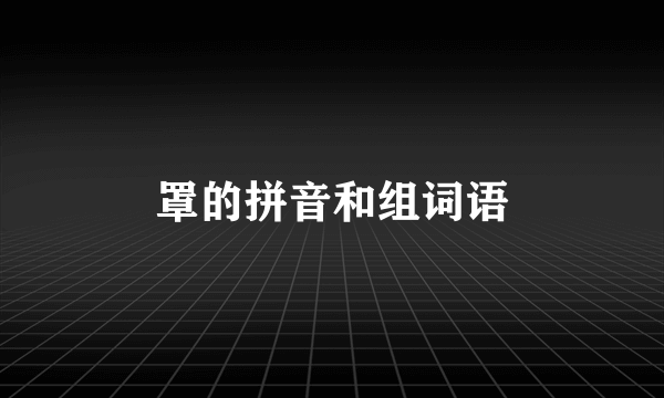 罩的拼音和组词语