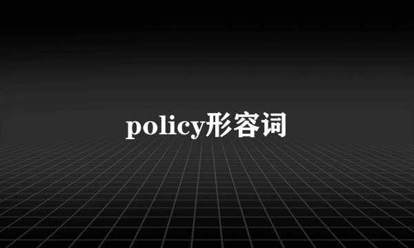 policy形容词