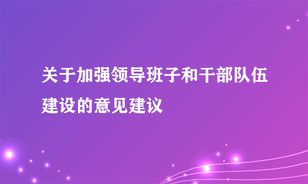 关于加强领导班子和干部队伍建设的意见建议