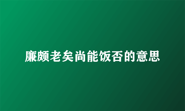 廉颇老矣尚能饭否的意思