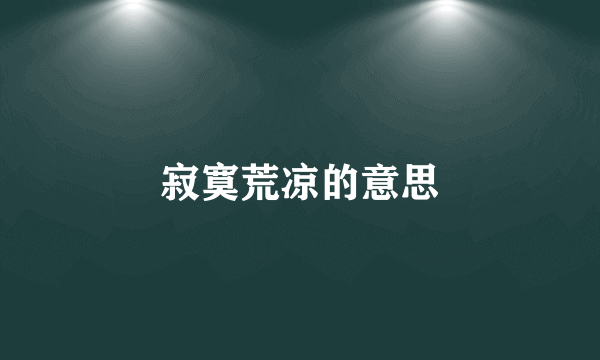 寂寞荒凉的意思