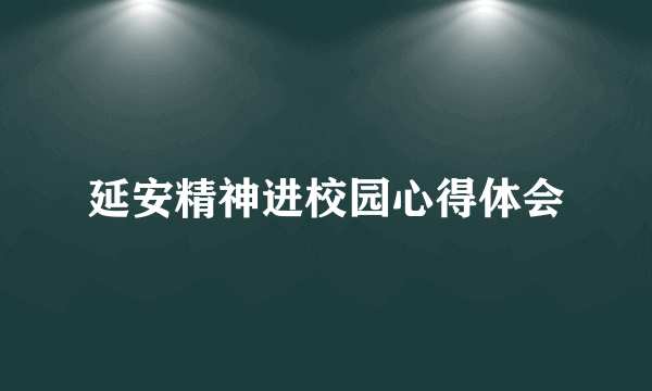 延安精神进校园心得体会