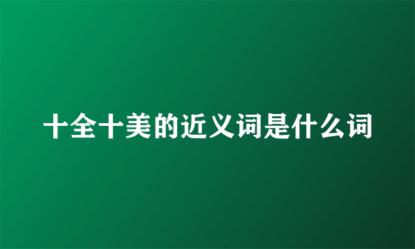十全十美的近义词是什么词