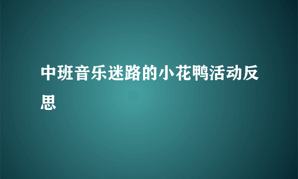 中班音乐迷路的小花鸭活动反思