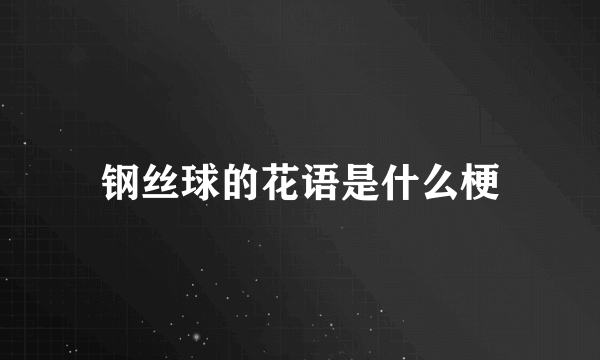 钢丝球的花语是什么梗