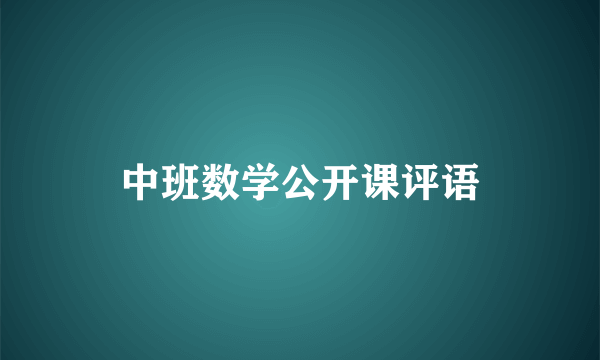 中班数学公开课评语