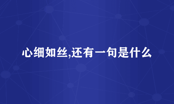 心细如丝,还有一句是什么