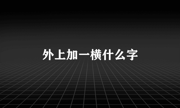 外上加一横什么字