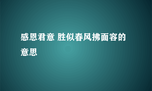 感恩君意 胜似春风拂面容的意思