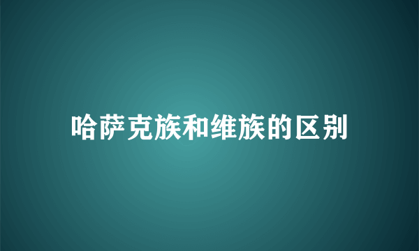 哈萨克族和维族的区别