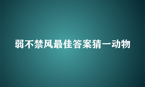 弱不禁风最佳答案猜一动物