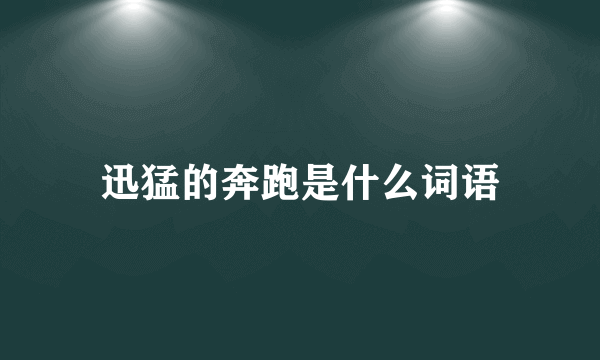 迅猛的奔跑是什么词语