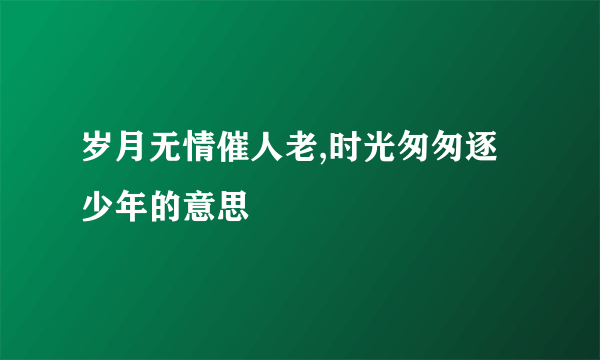 岁月无情催人老,时光匆匆逐少年的意思